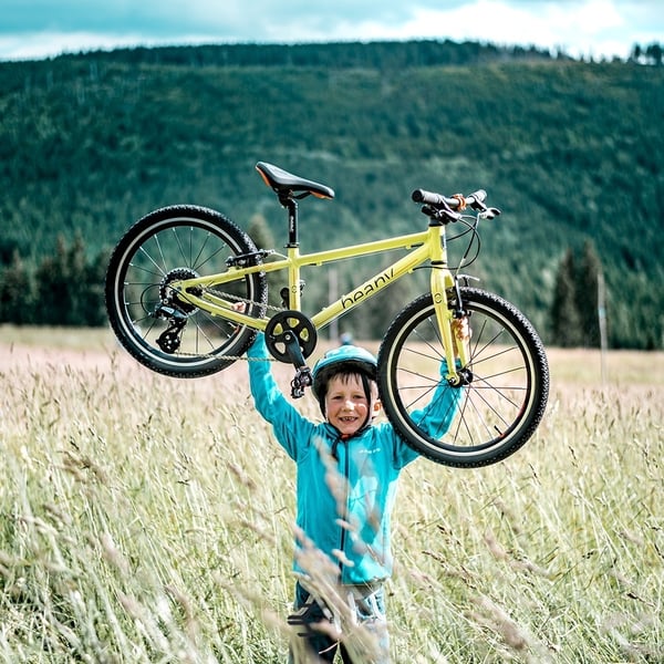 Beany Zero 20 -cykel, gul