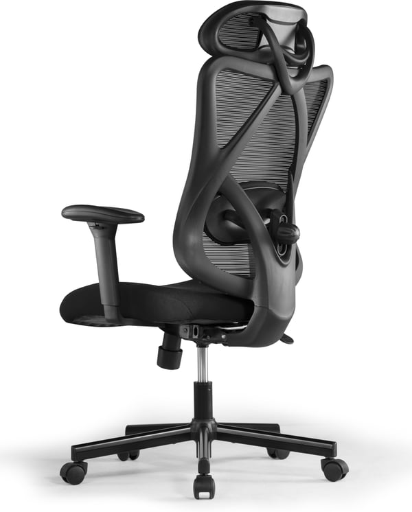 ErgoWork Lumbacker -arbetsstol, svart