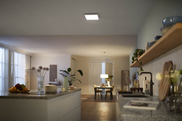 Philips Panel LED CL560 - loftlampe, kvadratisk, hvid, 1200 lm, 4000K