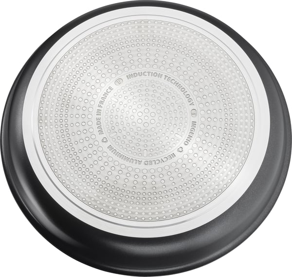 Tefal Ingenio Eco Resist stegepande, 24 cm