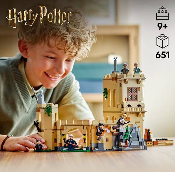 LEGO Harry Potter 76447 – Hogwarts slot: Flyvelektioner