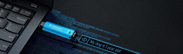 Kingston IronKey Vault Privacy 50 64 Gt USBhukommelsesnøgle