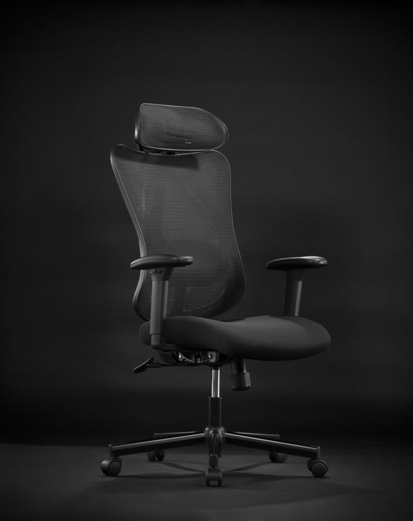 ErgoWork Lumbacker -arbetsstol, svart