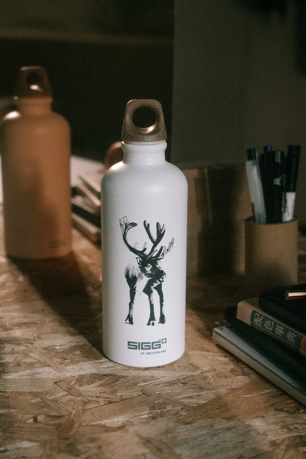 SIGG x TJ Poro -vandflaske 0,6 l