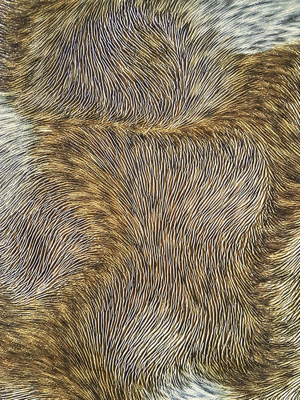 Tapet eksotisk Profhome 822305 prægede blank farve bronze creme khaki grå 5,33 m2