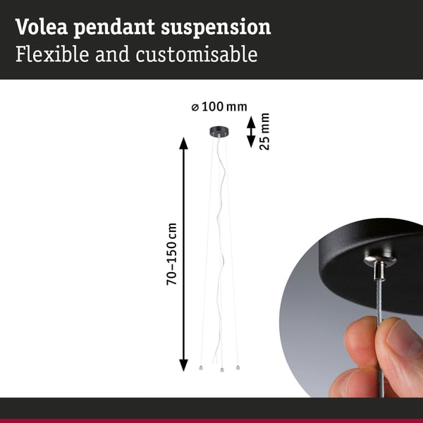 Paulmann LED taklampa Volea 3000K 950lm 230V 3,5W / 13W dimbar Svart, Guld, Silver