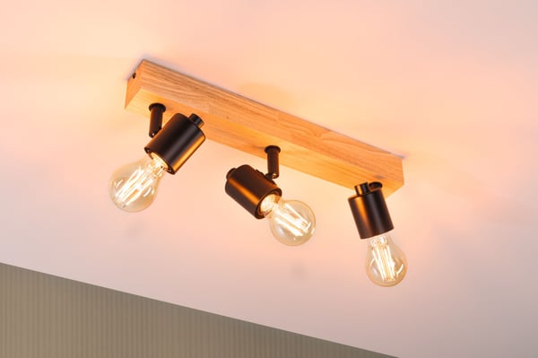Paulmann LED strålkastare Arvid E27 230V max. 3x20W dimbar Svart