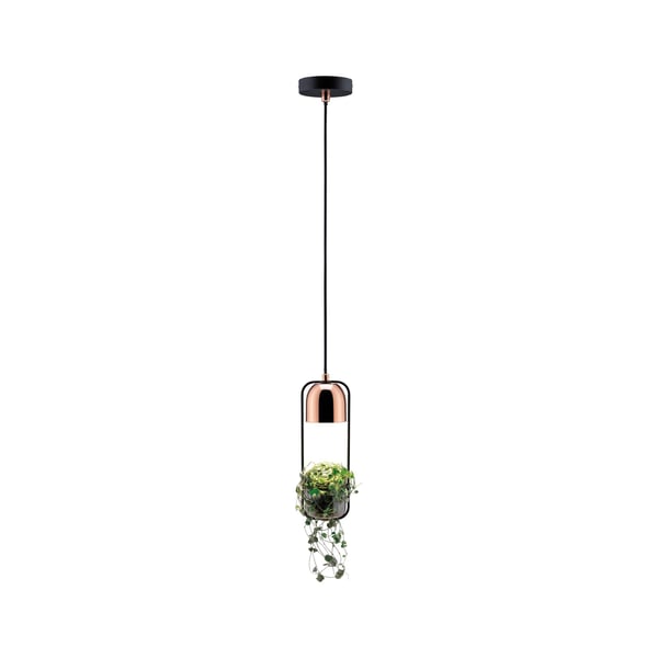 Paulmann Neordic Pendellampa Fanja Neordic GU10 max. 20W Svart, Koppar dimbar Metall