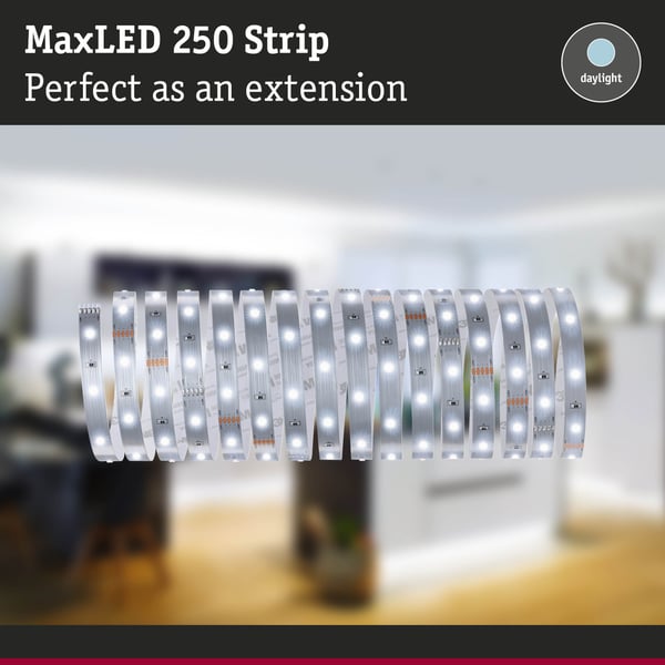 Paulmann MaxLED 250 LED remsa Förlängning 5m 6500K 19W 300lm/m 6500K