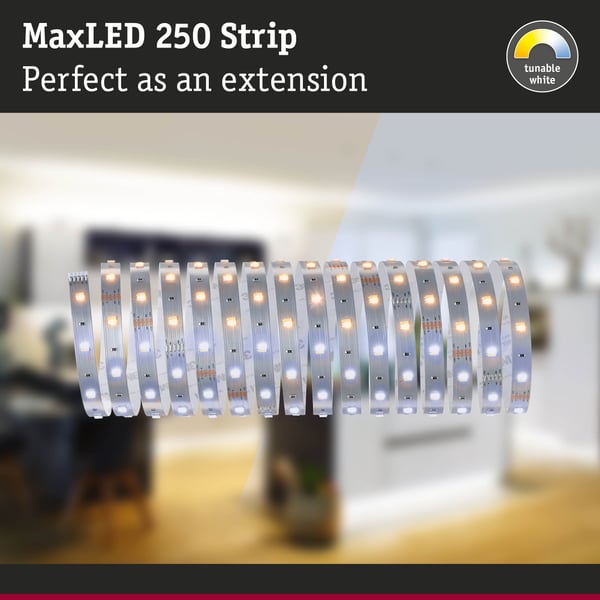 Paulmann MaxLED 250 LED remsa Förlängning 5m Tunable White 17,5W 270lm/m Tunable White