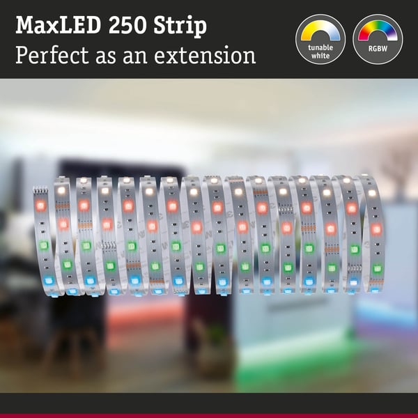 Paulmann MaxLED 250 LED remsa Förlängning 5m RGBW+ 31,5W 270lm/m RGBW+