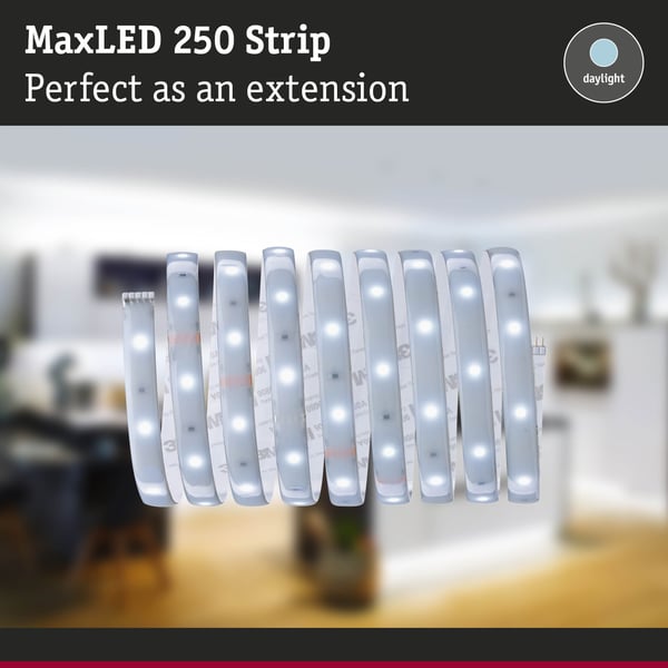Paulmann MaxLED 250 LED remsa Förlängning 2,5m 6500K belagd 10W 300lm/m 6500K