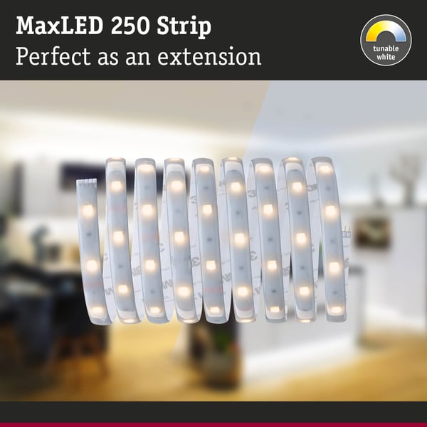 Paulmann MaxLED 250 LED remsa Förlängning 2,5m Tunable White belagd 9W 270lm/m Tunable White