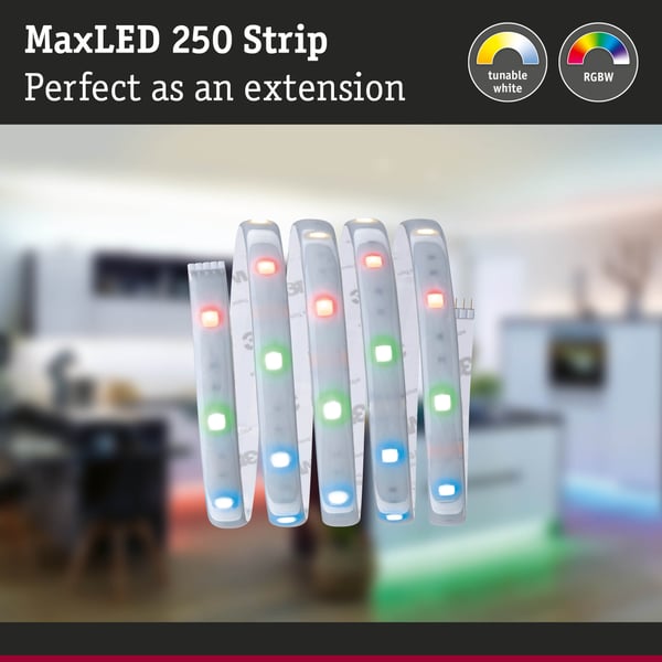 Paulmann MaxLED 250 LED remsa Förlängning 1m RGBW+ belagd 7W 270lm/m RGBW+