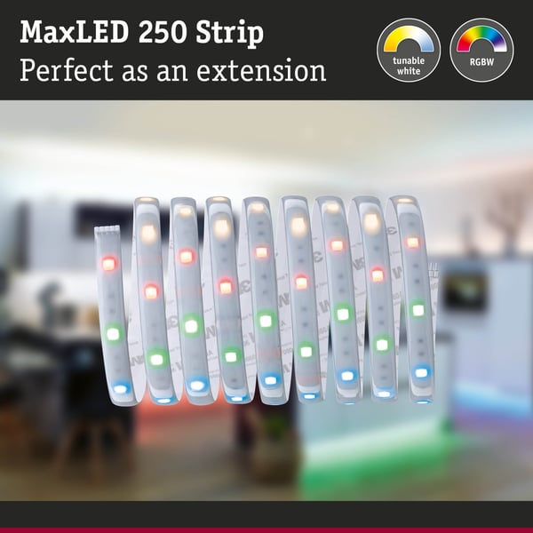Paulmann MaxLED 250 LED remsa Förlängning 2,5m RGBW+ belagd 17W 270lm/m RGBW+