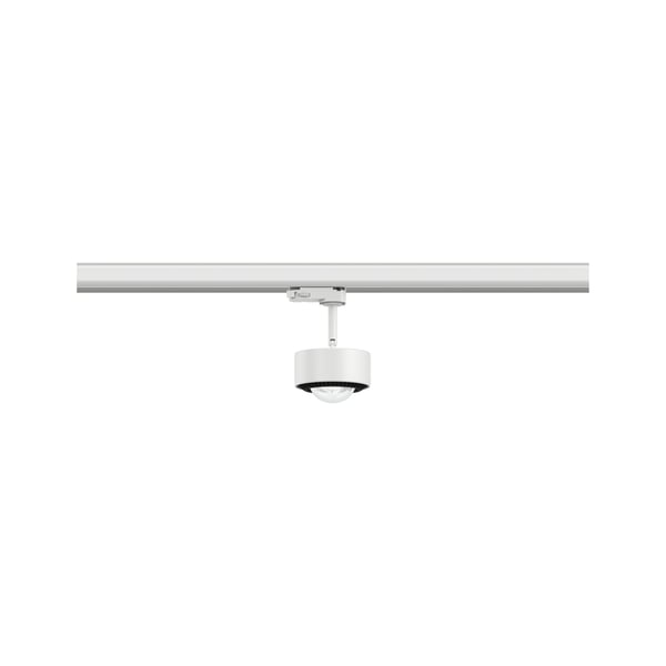 Paulmann ProRail3 LED spårstrålkastare Aldan 533,8lm 8W 4000K dimbar 230V Vit, Svart