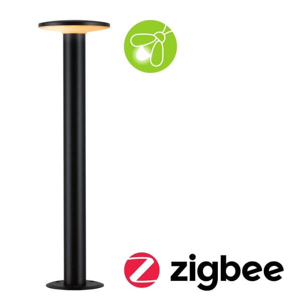Paulmann LED pollare Smart Home Zigbee 3.0 Plate Insektsvänlig IP44 cylindrisk 600 mm Tunable Warm 5,5W 280lm 230V Antracit Metall, Plast