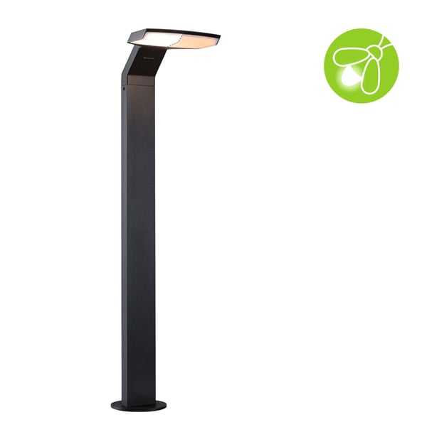 Paulmann LED pollare Zenera insektsvänlig IP44 670 mm 2200 - 3000K 10W 700lm 230V Antracit Metall