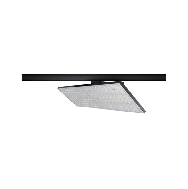Paulmann ProRail3 LED panel Deck 6600lm 75W 3000K 230V Svart