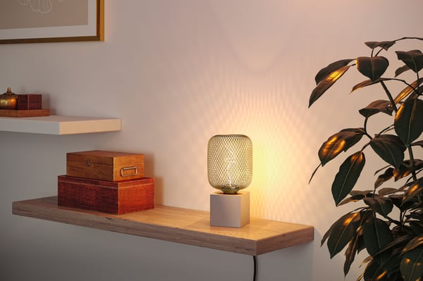 Paulmann Metallic Glow Standard 230V LED-ljuskälla Zyl E27 180lm 4W 1800K dimbar Mässing