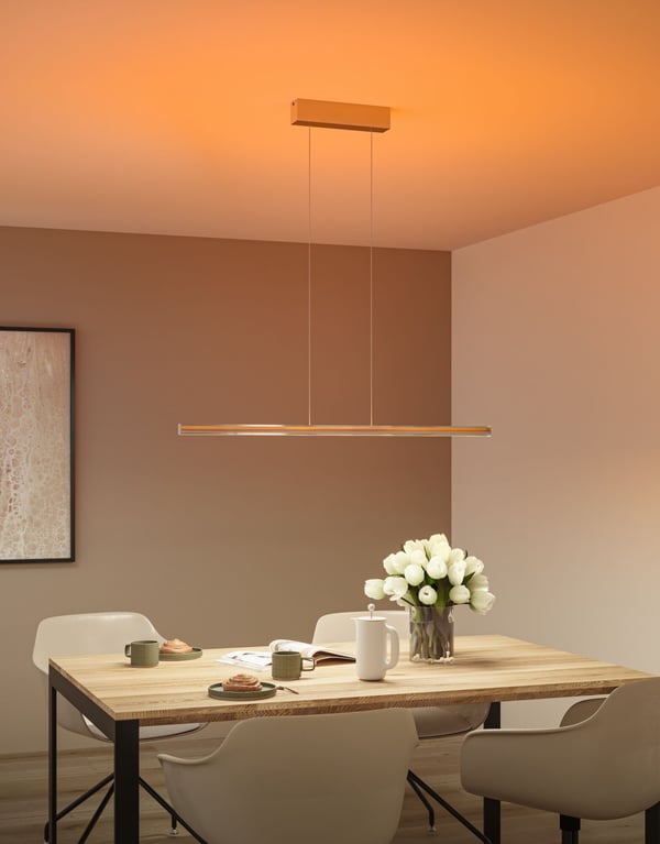 Paulmann LEDpendellampa Lesko RGBW+ dimbar 1400lm / 120lm 19W / 3W Silver matt