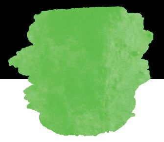 FINETEC® Premium neon vannfargepanne | Green