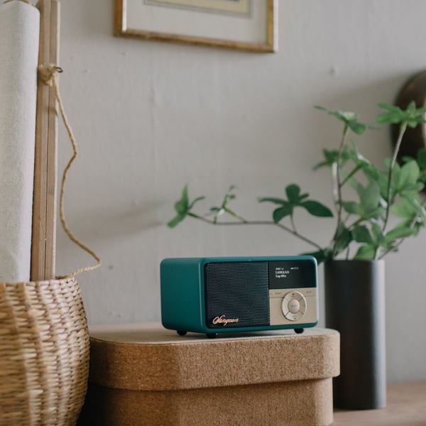 Sangean DDR-7X kannettava DAB+/FM-radio, Bluetooth, vihreä