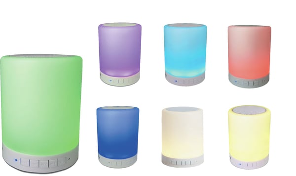 DENVER BTL-30 - Høyttaler - for bærbar bruk - trådløs - Bluetooth - 3 watt