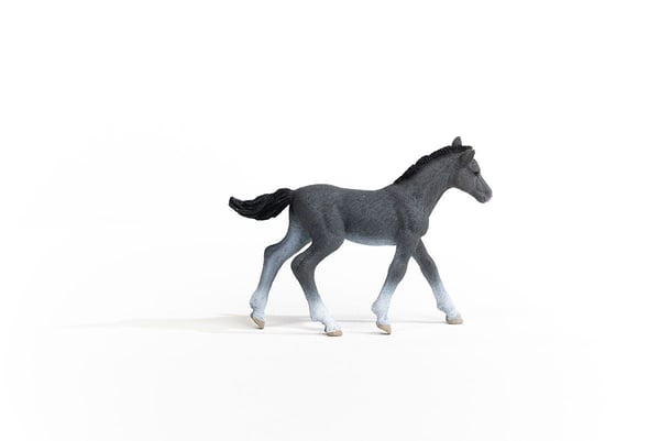 Schleich Trakehner hingstefole