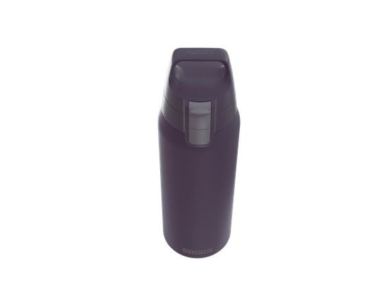SIGG 6021.30, Päivittäinen käyttö, 750 ml, Kääntökansi, Ruostumaton teräs, Lila, Aikuinen