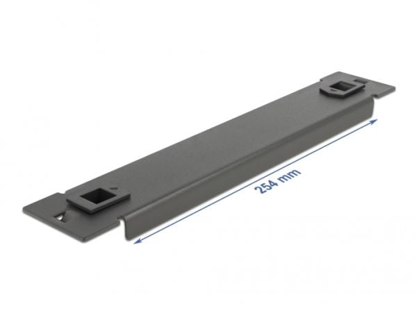 Delock - Dekkepanel for rackavskjerming - svart - 1U - 10"