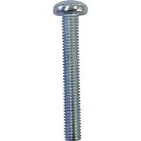 Toolcraft 839826, Ruuvi, Terästä, M4, Ovaalikanta, Hopea, 8 mm