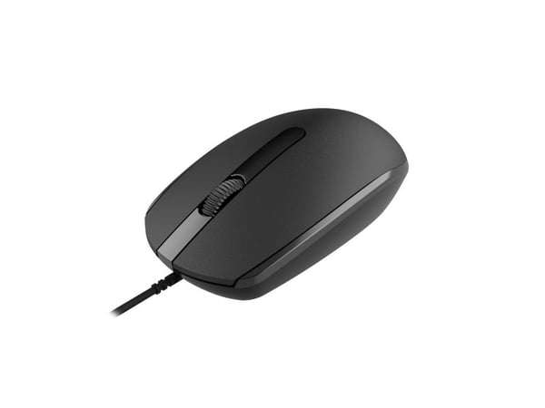 Canyon M-10, Molempikätinen, Optinen, USB A-tyyppi, 1000 DPI, Musta