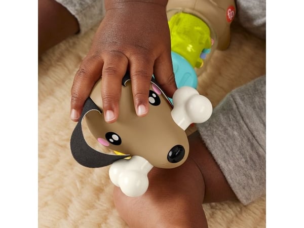 Fisher Price Click & Spin Activity Pup CDU