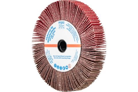 PFERD 44782806, Liuskalaikka, Ruostumaton teräs, 12200 RPM, Pyöreä, 12,5 cm, 20 mm
