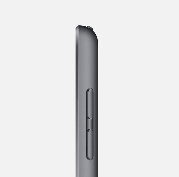 Begagnad Apple iPad 8 128GB WiFi + Cellular (Space Gray) - 2020 - Grad B