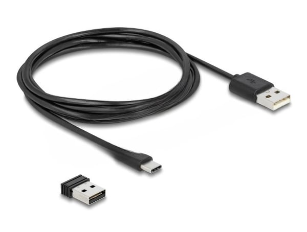 Delock - Streckkodsskanner - handhållen - 30 skanning/sek - avkodad - Bluetooth 4.0, USB-C, RF(2.4 GHz)