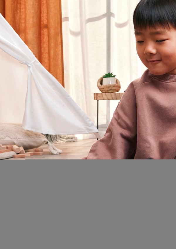 Schleich kapibara
