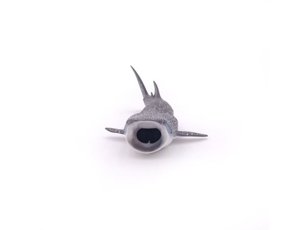 Papo 56039, 3 år, Marine life, Grå, Hvit, PVC