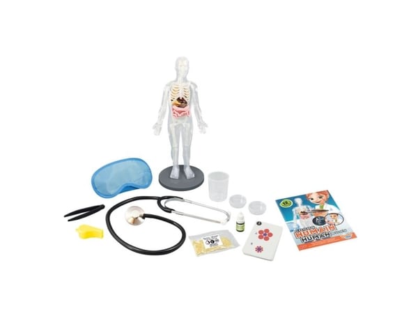 Buki Human Body, Koepakkaus, Anatomia, 8 vuosi/vuosia, Monivärinen