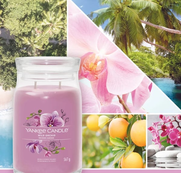 Yankee Candle Signature Wild Orchid Świeca Duża 567g