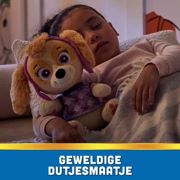 PAW Patrol PAW PLH Bedtime Plush Core Skye GML, Tecknad figur, 3 År