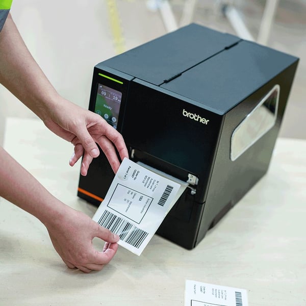 Brother Titan Industrial Printer TJ-4121TN - Etikettskrivare - direkt termisk/termisk överföring - Rulle (12 cm) - 300 dpi - upp till 178 mm/sek - ...