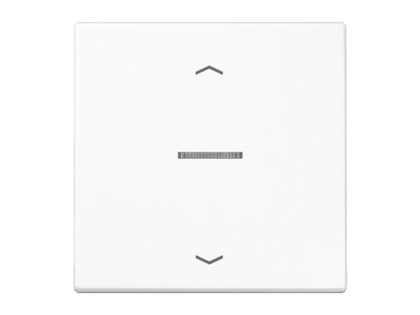 JUNG LS101KO5PWW, Muovi, Ruuviton, 1 kpl