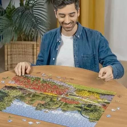 1000PCS Puutarha Pallavici
