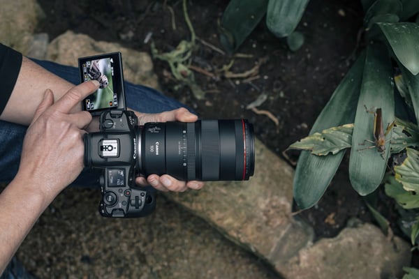 Canon RF - Makrolinse - 100 mm - f/2.8 L Macro IS USM - Canon RF - for EOS RF Mount