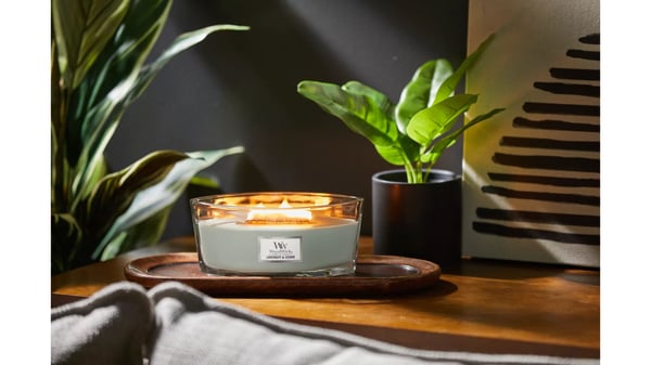 Yankee Candle WoodWick Ellipse - Lavendel & Cedar