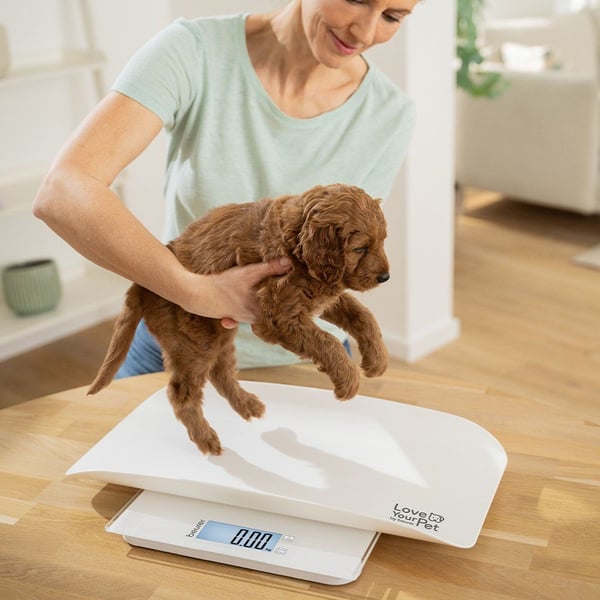 Beurer PetCare PP170 Polly multifunksjonsvekt