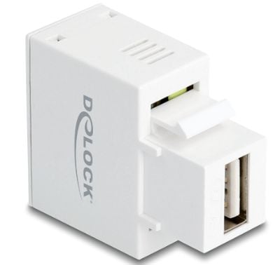 Delock Keystone module - USB-adapter - USB (hunn) til 2-pins terminalblokk (hunn) - USB Power Delivery (5W) - hvit