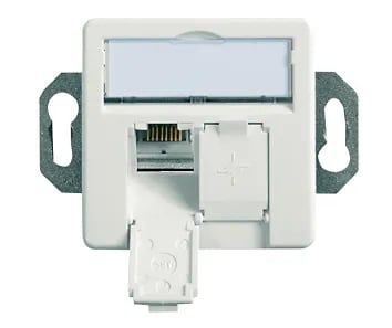 Telegärtner 100022957, 2 x RJ-45, 6a, Valkoinen, Sinkki, 1 kpl